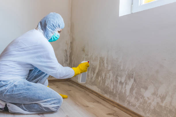 Licensed Crawl Space Mold Removal service in Newport, NC - WQB Mold Removal