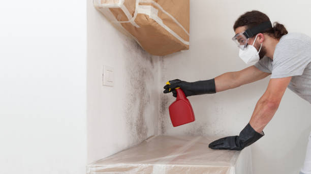 Professional Crawl Space Mold Removal technician working in Newport, NC