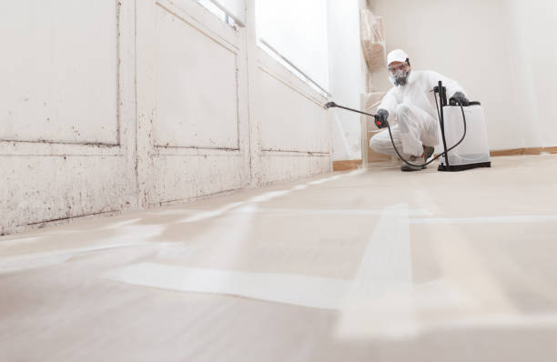 24/7 Emergency Crawl Space Mold Removal experts in Newport, NC