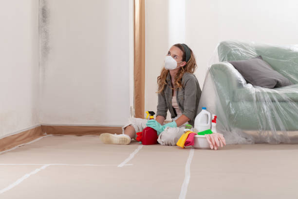 Reliable Crawl Space Mold Removal contractor in Newport, NC by WQB Mold Removal